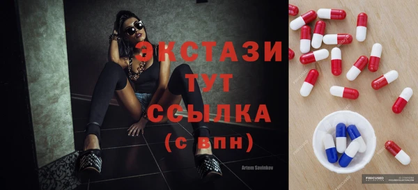 хмурый Ельня