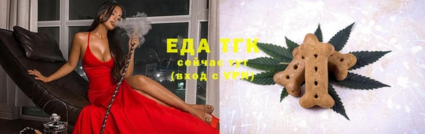 хмурый Ельня
