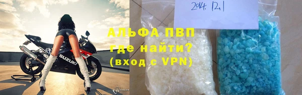 хмурый Ельня
