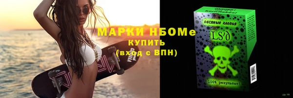 хмурый Ельня