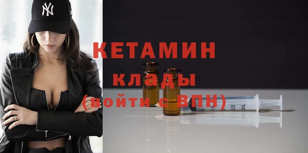 хмурый Ельня