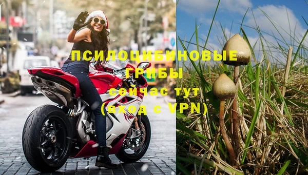 хмурый Ельня