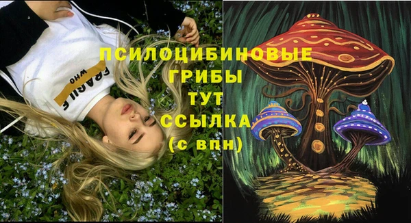 бутират Елабуга