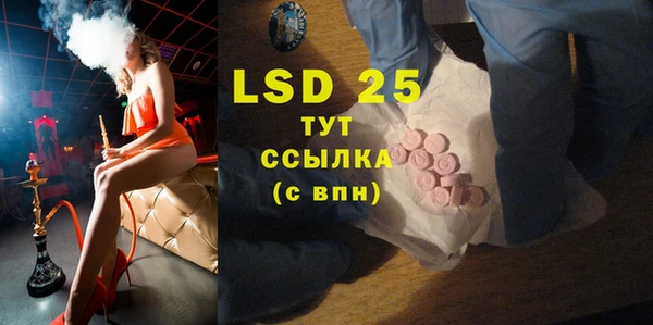 хмурый Ельня
