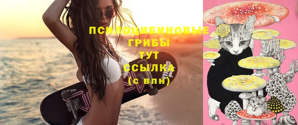 бутират Елабуга