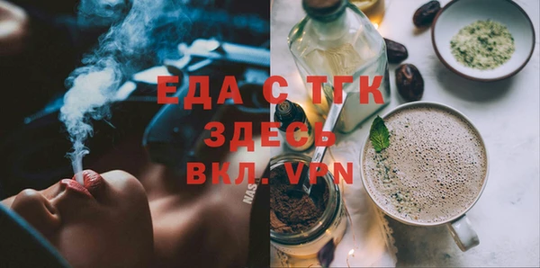 хмурый Ельня