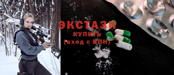 хмурый Ельня