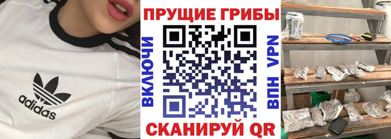 Купить  Ивдель  Галлюциногенные грибы Magic Shrooms 
